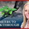BARRIERS TO BREAKTHROUGH