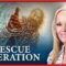 RESCUE OPERATION
