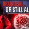 BRAIN DEAD… OR STILL ALIVE? THE SHOCKING TRUTH BEHIND ORGAN HARVESTING