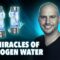 Miracles of Hydrogen Water | The Power of Organic Foods