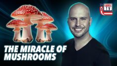 IItry.qR4e-small-The-Miracle-of-Mushrooms-Me