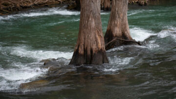 High Water on the Guadalupe River, Gruene, TX