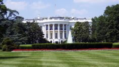administration-1846270_1280