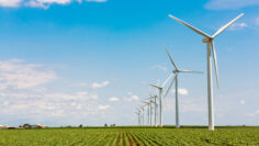 Clean Energy