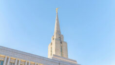 AdobeStock_468079092.jpeg