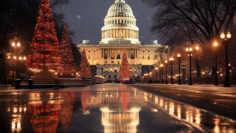 Capitol building with a Christmas tree in the foreground. Suitable for holiday-themed designs, travel brochures, festive greeting cards, and patriotic promotions.christmas tree in washington