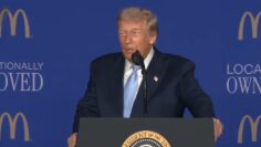 TrumpMcDonaldsSummit