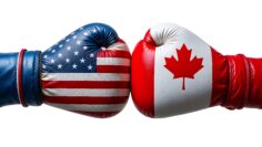 Boxing gloves with US and Canadian flags symbolize the trade war between the two countries.