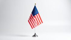 flag of usa United States Flag on White Background