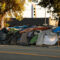 AdobeStock_442037627.jpeg