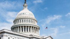 The United States Capitol Building, home of Congress, and sittin