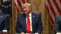 TrumpCabinetMeeting