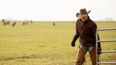 Cowboy shutting fence to pasture after moving cattle to new ground