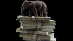 Campaign finance issues and GOP political influence concept with elephant representing the republican party on pile of cash symbolizing money in politics on black background with clipping path cutout