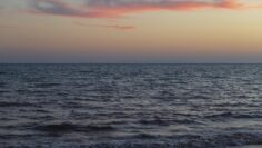 mostafa_meraji-sea-6811799