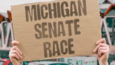 “Michigan Senate race” Closely watched contest in battleground state. MICHIGAN. SENATE. RACE. BATTLEGROUND. CANDIDATES.