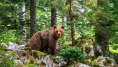 AdobeStock_410297927.jpeg