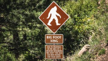 Closeup of a sign of Bigfoot in a green forest