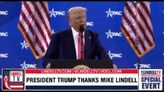 lindelltv_wpvidsync_images->12026