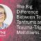 The Big Difference Between Temper Tantrums and Trauma-Triggered Meltdowns – Jayne Schooler