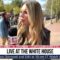 DC LIVE: UPDATES WITH ALISON STEINBERG