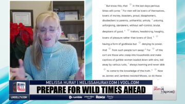 lindelltv_wpvidsync_images->16283