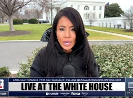 lindelltv_wpvidsync_images->16534