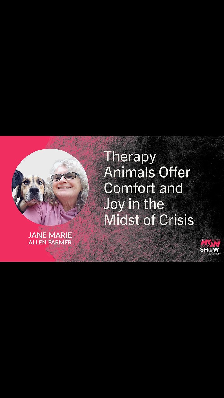 lindelltv_wpvidsync_images->16676