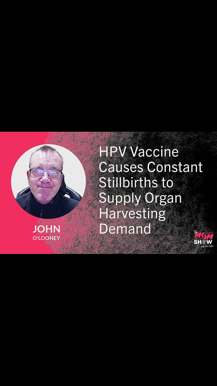 lindelltv_wpvidsync_images->17102