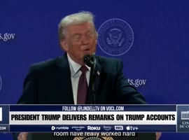 lindelltv_wpvidsync_images->17199