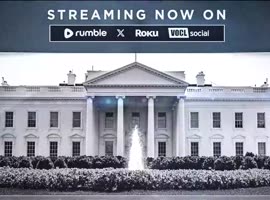 lindelltv_wpvidsync_images->17869