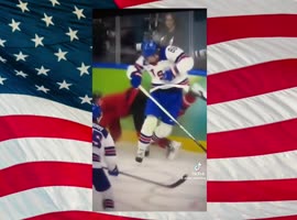 lindelltv_wpvidsync_images->17874