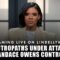 NAUTROPATHS UNDER ATTACK, NEW CANDACE OWENS CONTROVERSY, & THE CASE FOR JACK HUGHES MEDAL OF FREEDOM