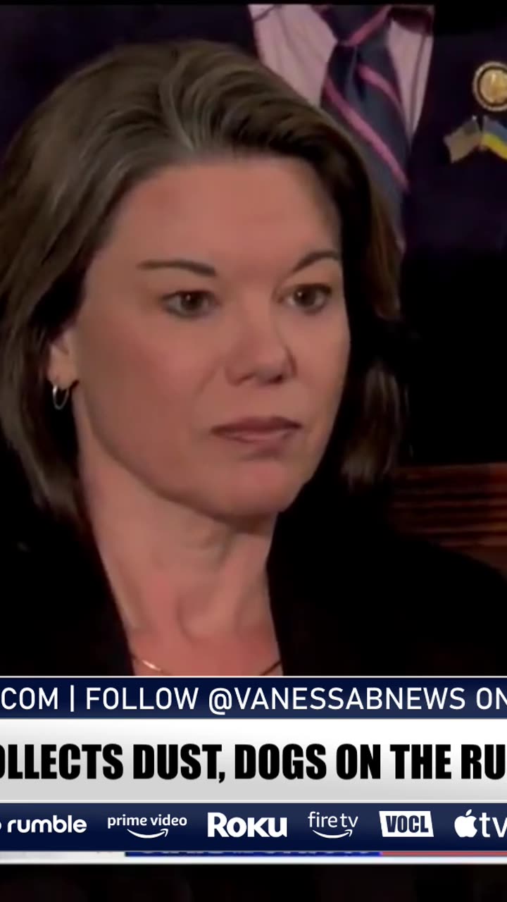 lindelltv_wpvidsync_images->17942