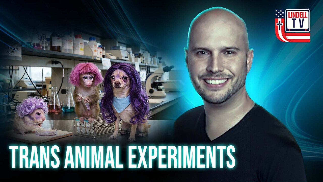 lindelltv_wpvidsync_images->18133