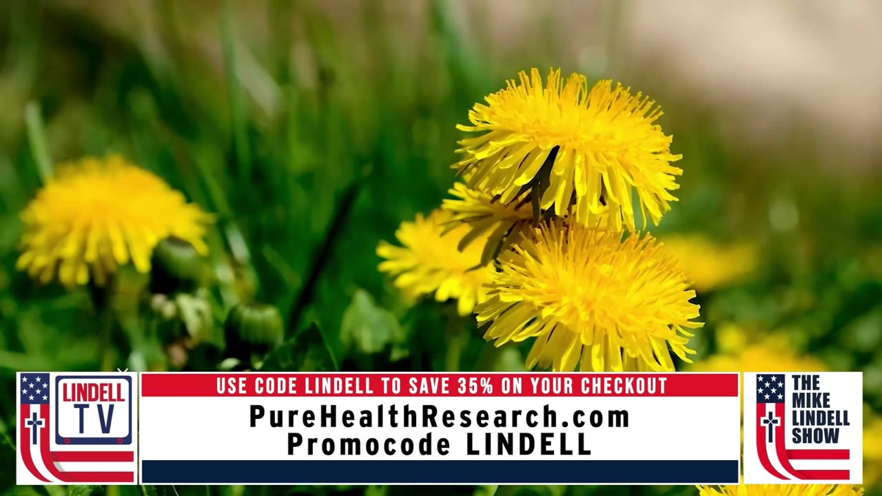 lindelltv_wpvidsync_images->19156