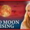 THE HOPE REPORT – BAD MOON RISING