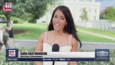 lindelltv_wpvidsync_images->23890