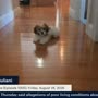 lindelltv_wpvidsync_images->24493