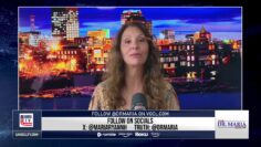 lindelltv_wpvidsync_images->27049