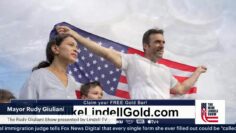lindelltv_wpvidsync_images->27061