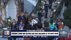 lindelltv_wpvidsync_images->27089