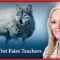 Calling Out False Teachers/Exercising Spiritual Gifts